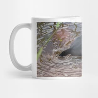 Hawaiian coot 3 Mug